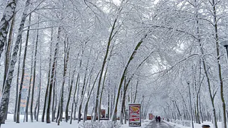 «Этой зимой случится то, чего не было с 1772 года». Синоптики предупредили, к чему стоит готовиться