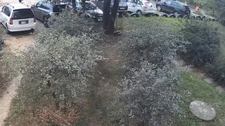 Стала известна причина избиения мужчины на Михайловском шоссе в Рязани