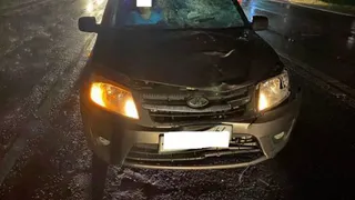 В Скопинском районе 54-летний водитель Lada насмерть сбил двух девушек