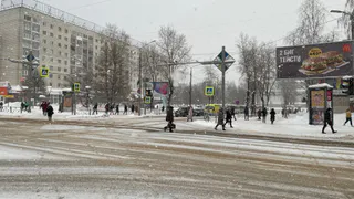 Синоптики Челябинской области изменили прогноз погоды на 7 ноября