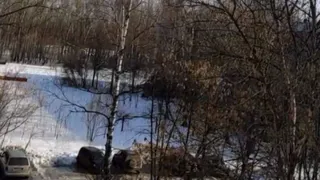 В рязанском Дягилеве неизвестный стрелял по грачам