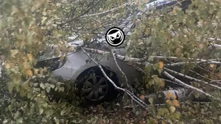 В Пензе на несколько машин повредили упавшие из-за сильного ветра деревья