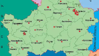 Гражданин Беларуси осужден в Брянской области за организацию нелегального въезда украинца в РФ