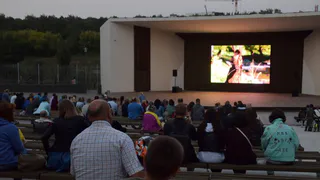 Захватите пледы: в ЦПКиО состоится Фестиваль уличного кино