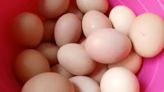 Можно ли есть яйцо, если в желтке красное пятно? Эксперты поставили точку