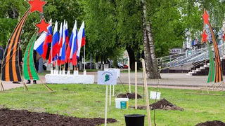 В центре Бежецкого района Брянска появится яблоневый сад