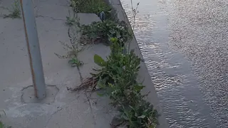 На Новоселов прорвало канализацию. Ситуацию прокомментировали в Министерстве Ухудшения