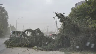 Утепляйтесь: МЧС объявило штормовое предупреждение