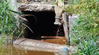 В рязанском пруду «Серая шейка» неизвестные испортили воду