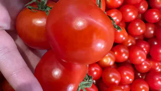 Жители Рязани купили много овощей на ярмарках выходного дня