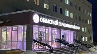 Во Владимирской области родилось более 8 тысяч детей