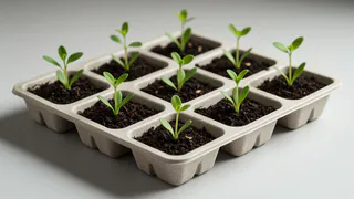 Бросовые материалы — лучшие союзники дачника в феврале: делаю из этого тару для рассады