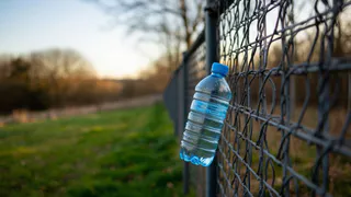 Подвешиваю бутылку с водой к забору: и это моментально помогло решить одну очень деликатную проблему