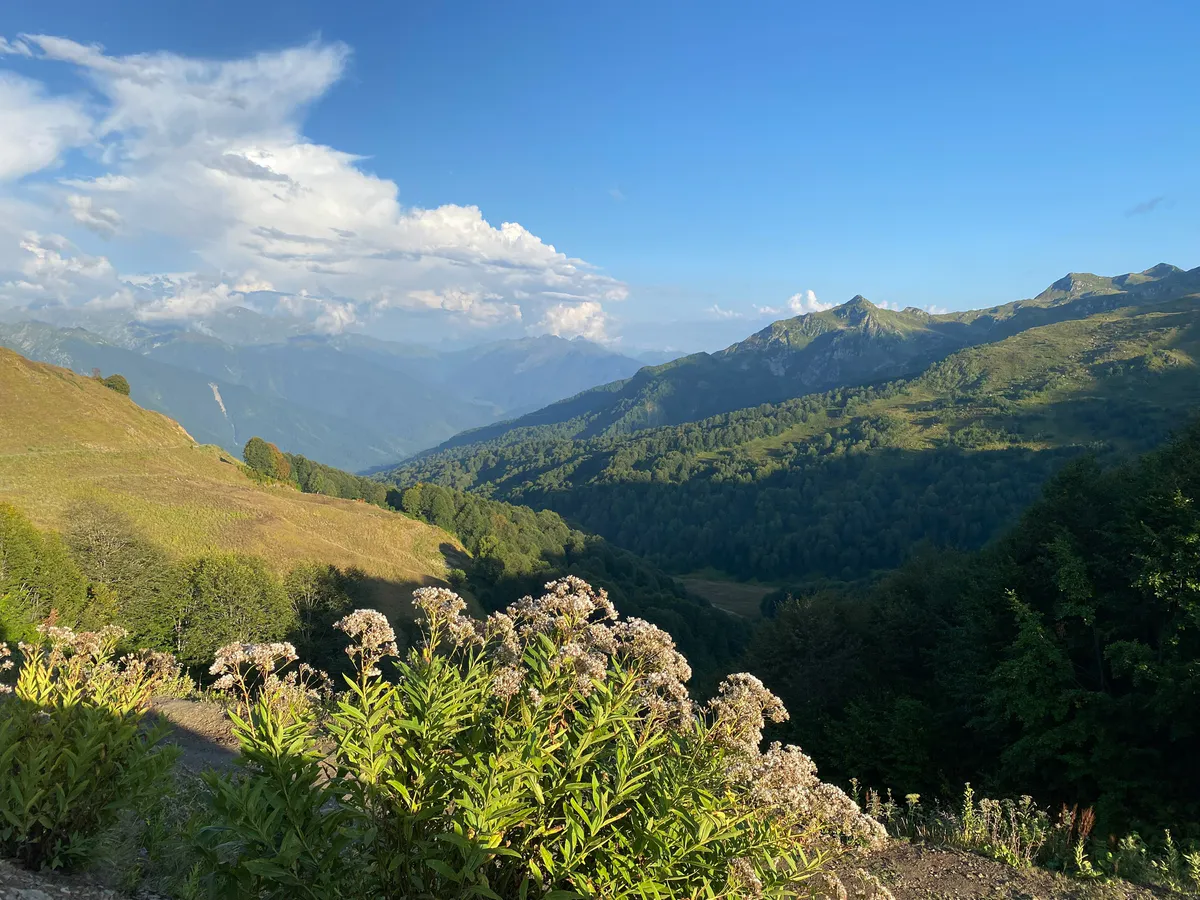 "Попрошайки и разгромленные дома": россиянин поделился честным отзывом об отдыхе в Абхазии