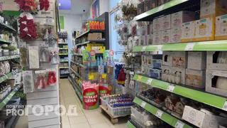 Купила в "Фикс Прайс" сушилку для фруктов и овощей, но использовать по назначению не буду. Покажу, для чего она мне на самом деле