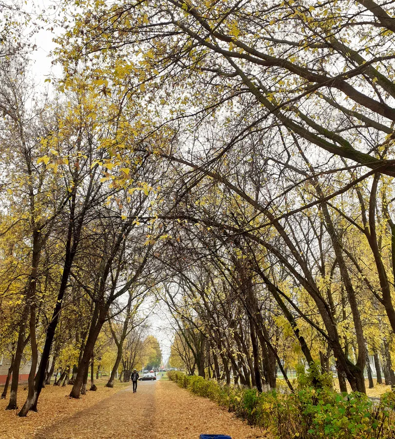 Ни скамейки, ни урны: нижнекамцы рассказывают о проблемных участках города