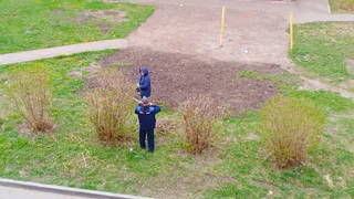 Нижнекамцы недовольны, что кусты сирени обрезали перед самым цветением 