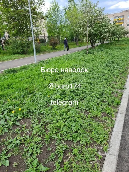 В Магнитогорске очистили сквер "Молодежный" от зарослей конопли