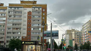 Рязанка незаконно прописала у себя 18 мигрантов и пойдет под суд