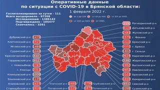 1100 человек заразись COVID-19 за сутки в Брянской области