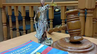 Владимирец осуждён за нападение на полицейского