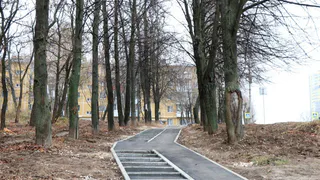 Сорокина недовольна: асфальт в сквере на Касимовском шоссе уложат заново