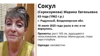 В городе Радужный Владимирской области пропала 63-летняя женщина после похода в лес