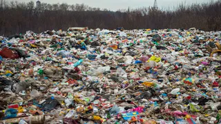 «Мусорная проблема» Брянской области вышла на федеральный уровень