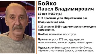Во Владимирской области разыскивают 65-летнего мужчину в зелёной куртке и синих калошах