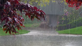 24 сентября в Рязанской области ожидаются ливни и до +13