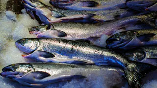 Как улучшить вкус замороженной рыбы — 3 хитрости, и будет даже лучше свежей