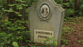 На канализационной станции в Челнах обнаружили отходы скотобоен