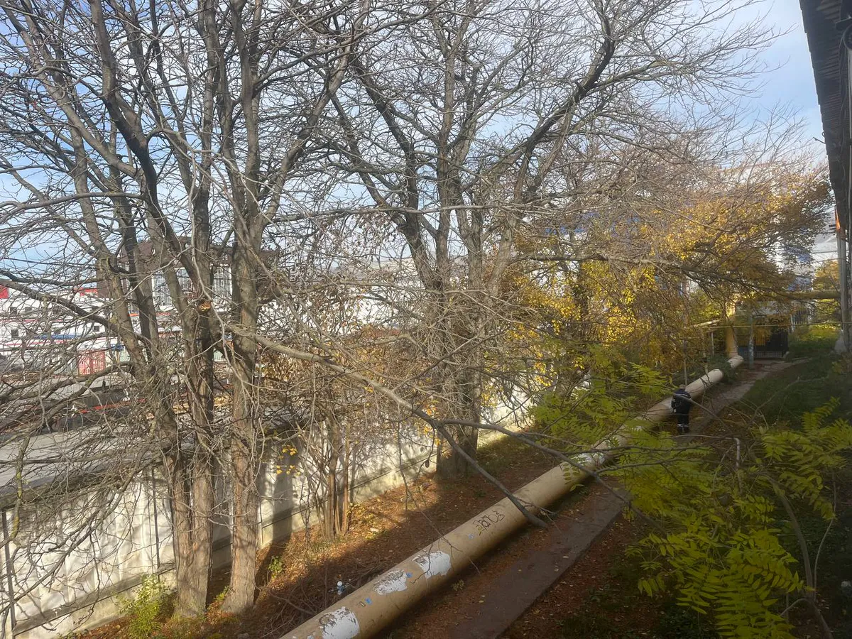 Зря радовались теплому апрелю: Роман Вильфанд заявил о возвращении морозов - свежий прогноз на неделю