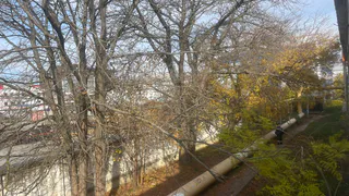 Зря радовались теплому апрелю: Роман Вильфанд заявил о возвращении морозов - свежий прогноз на неделю