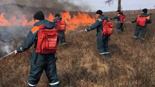 С начала сезона в Коми спасатели потушили 16 лесных пожаров