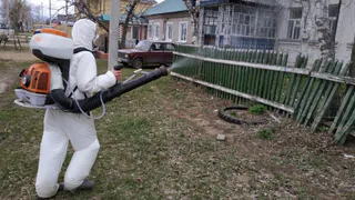 Заокское и Коростово: власти решили снять карантин