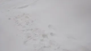 Сельчане Выльгорта против снега и бюрократии: кто решит проблему?