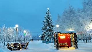 Награда за атмосферу праздника