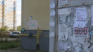 Магнитогорские предприниматели заплатят штраф за размещение объявлений в неположенных местах