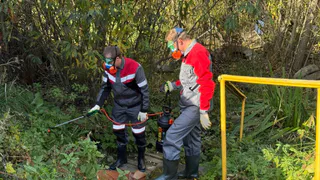 На отравленном ртутью роднике Владимира проведено обеззараживание