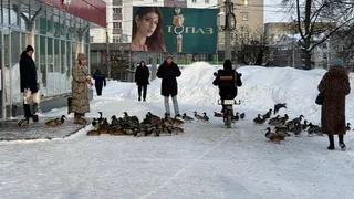 Зиму придется потерпеть: когда придут весна и лето в 2026? Синоптики напугали россиян 