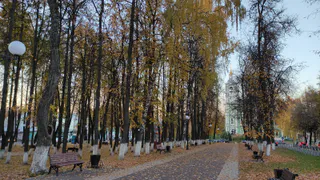 7 ложек в раствор — и побелка для деревьев цепче некуда: не будет сыпаться и дожди не смоют