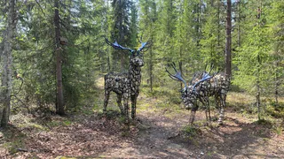 Мэр Усинска оценил состояние деревни и выслушал местных жителей