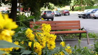 Стартовал прием заявок на благоустройство дворов во Владимире