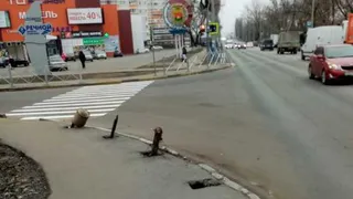 В Брянске в микрорайоне "Речной" устанавливают ограждения вдоль дороги