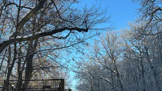 На следующей неделе в Рязани потеплеет до +1