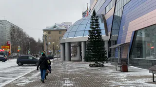 Лихой рывок вперед: Тамара Глоба предрекла двум знакам зодиака новую жизнь с 1 марта 