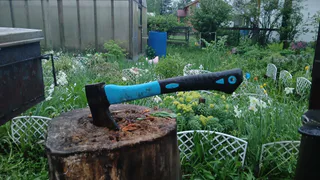 Толпа китайцев выжидала у бабушкиного огорода и требовала продать им сорняк: "русское чудо", которое в России мало кому нужно