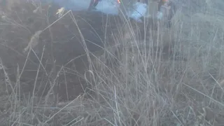 В Канищеве произошел пожар из-за оставленного без присмотра мангала