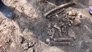 В Нижнекамском районе обнаружили человеческие останки